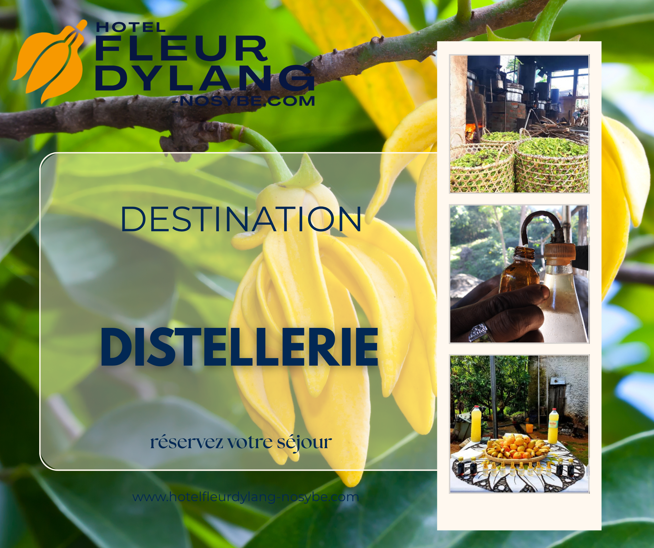 Distillerie d'Ylang-Ylang